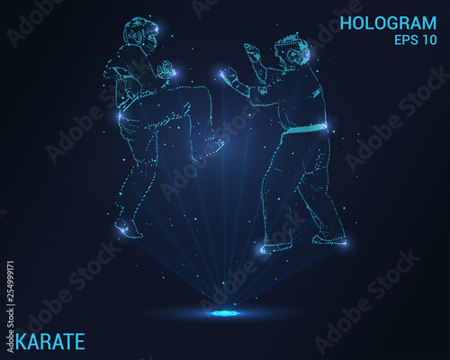 Karate hologram. Digital and technological background of karate. Futuristic karate design.