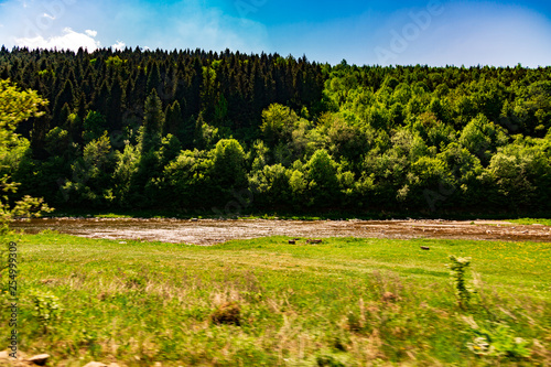 Fototapeta Naklejka Na Ścianę i Meble -  Landscape view of the mountain river with green vegetation trees bushes and grass and blue sky