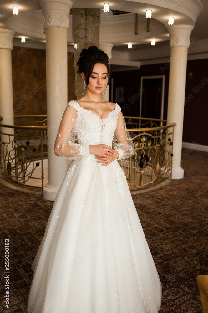 Fototapeta premium beautiful bride in chic dress. delicate bride with long hair. girl in lace dress with loop in studio Bride%27s morning in a stylish interior