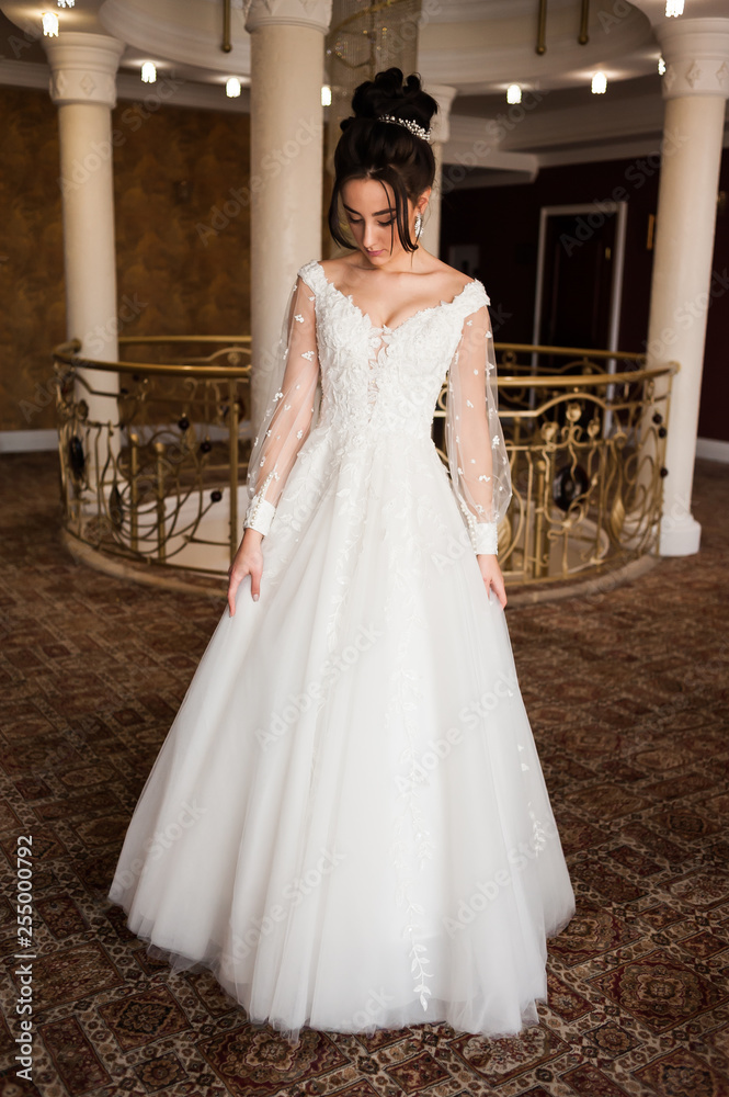 Obraz premium beautiful bride in chic dress. delicate bride with long hair. girl in lace dress with loop in studio Bride%27s morning in a stylish interior