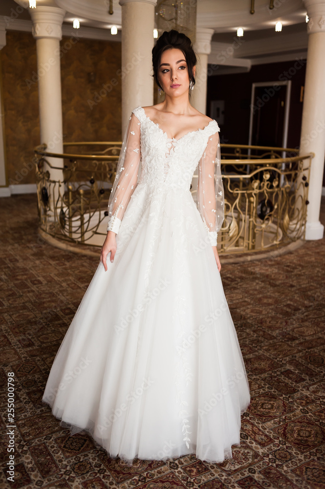 Obraz premium beautiful bride in chic dress. delicate bride with long hair. girl in lace dress with loop in studio Bride%27s morning in a stylish interior