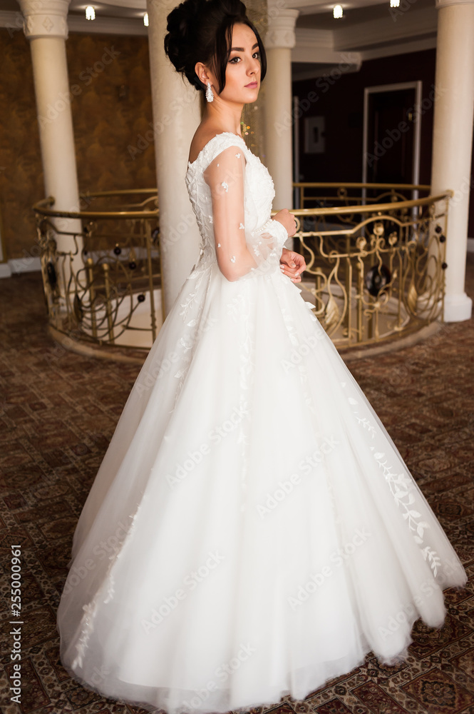 Fototapeta premium beautiful bride in chic dress. delicate bride with long hair. girl in lace dress with loop in studio Bride%27s morning in a stylish interior