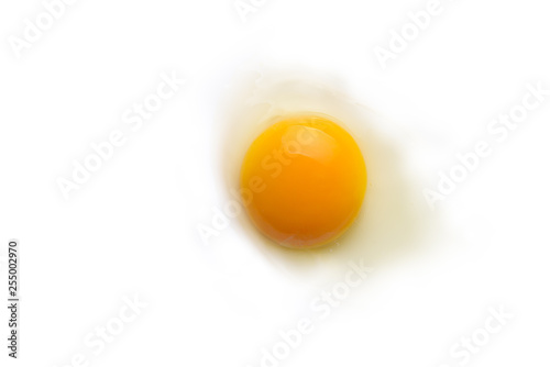 Egg yolk on white background