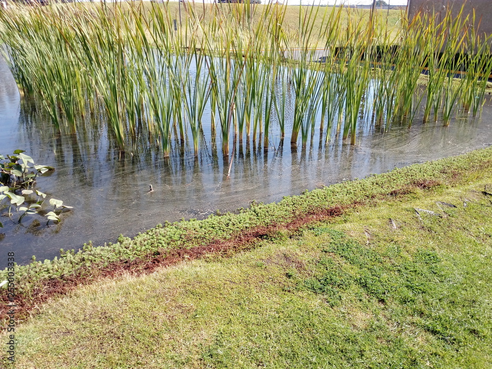 Fototapeta premium PAISAJE