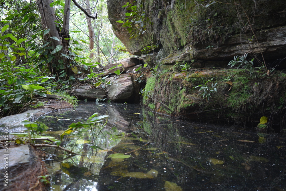 natureza natureza