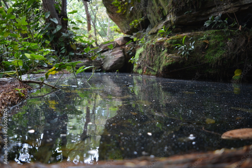 natureza