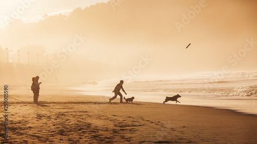 Familia en la playa al atardecer jugando con los perros © lleandralacuerva