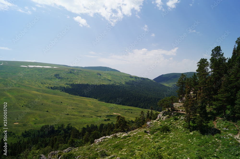 Naklejka premium Krajobraz_001