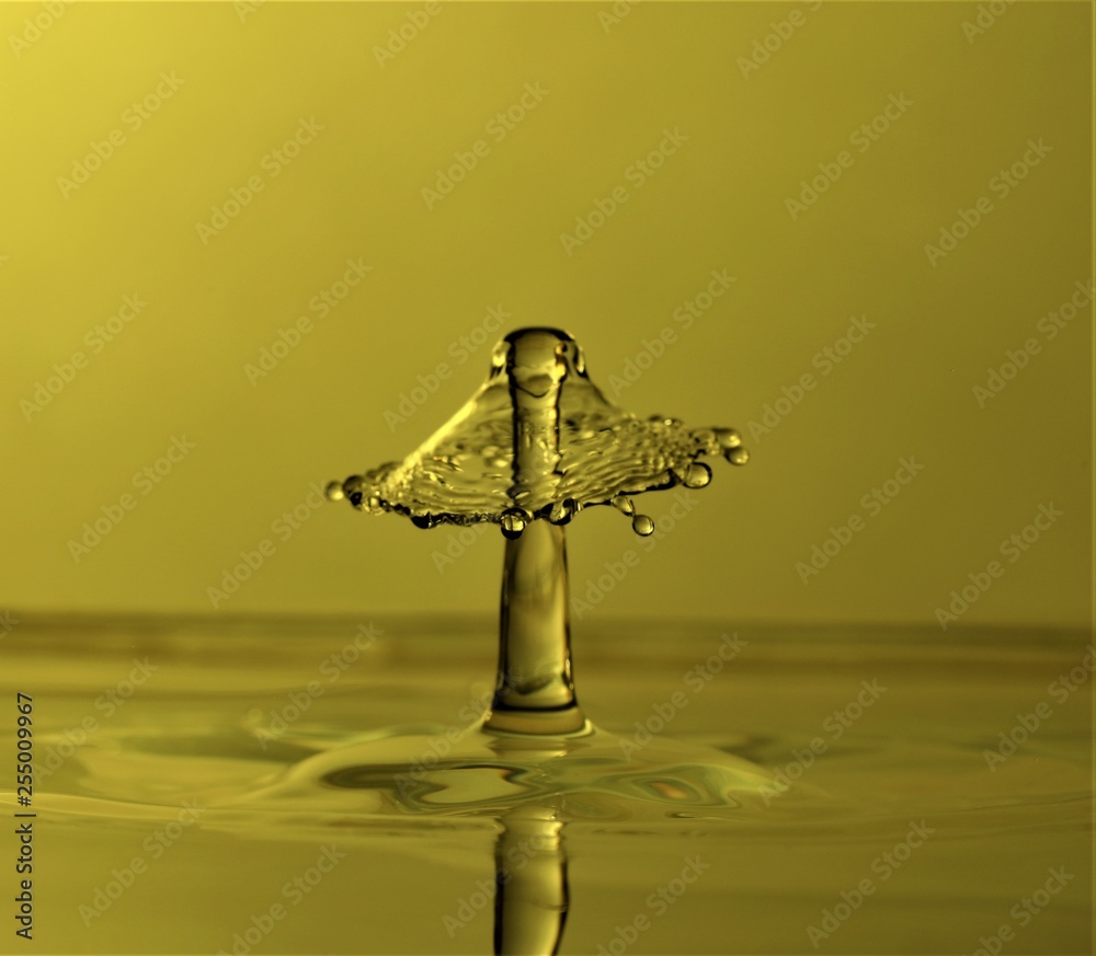 Obraz premium Water Drop Photography