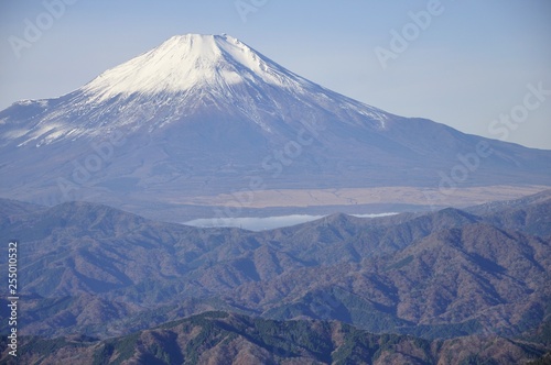 眺望富士