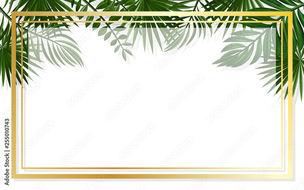 summer background with frames or borders made of green tropical palm leaves or jungle exotic foliage and place for text. Seasonal colorful realistic vector illustration.