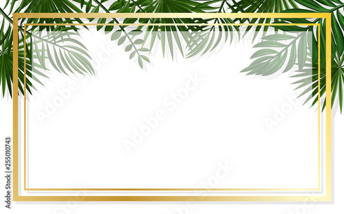 summer background with frames or borders made of green tropical palm leaves or jungle exotic foliage and place for text. Seasonal colorful realistic vector illustration.