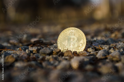 Gold coin bitcoin in the light gravel. Mining bitcoins. Search bitcoin. 