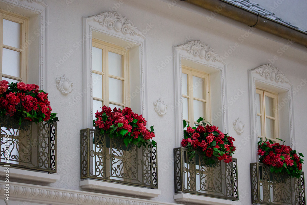 Beautiful tall windows with red flowers and a wrought-iron balcony grille on a white wall