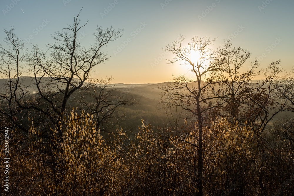 Kahle Bäume vor Sonnenuntergang auf der schwäbischen Alb