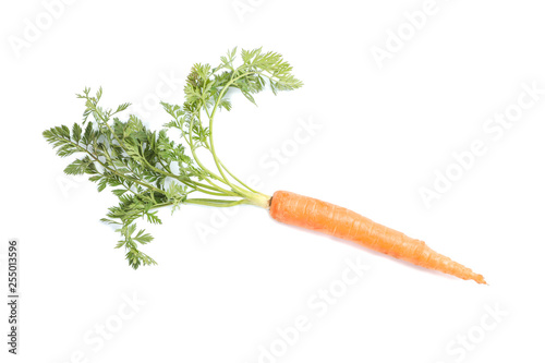 Ripe fresh carrot isolated on white background