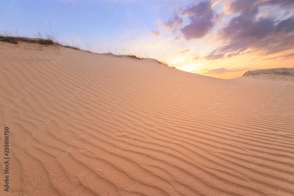 sunset on sand dunes / bright colors of early spring