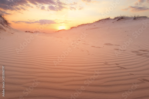 sunset on sand dunes / bright colors of early spring