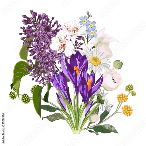 Purple spring crocus flowers bouquet with garden herbs, lilac, chamomile, anemones on white background. Isolated elements for your design.