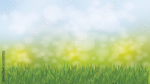 Hintergrund mit Wiese und Bokeh Effekt ideal als Werbelandschaft.