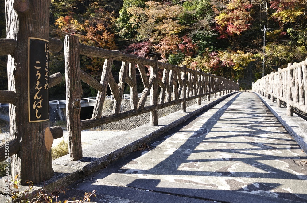 秋の箒沢公園橋