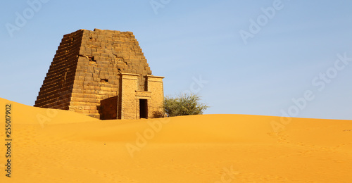  the antique pyramids of the black pharaohs