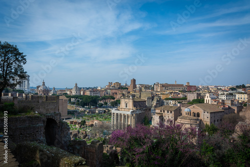 Forum Romanum