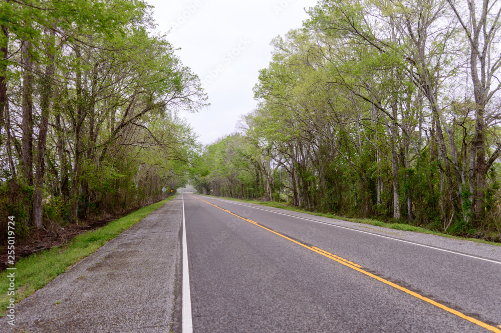 A long road in Louisiana, United States A long road in Louisiana, United States