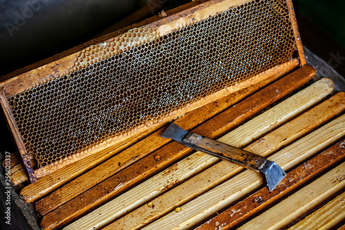 Beekeeper working tools on the hive. beekeeping equipment on the old wooden table