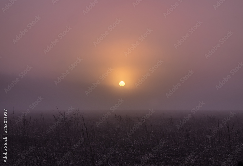Sunrise over rural field in England