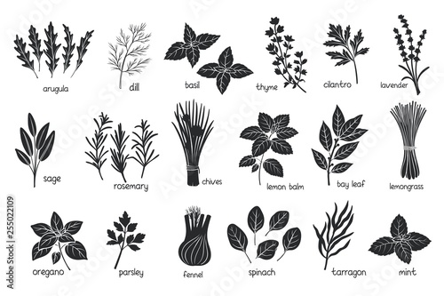 Photographie Black herbs spices silhouettes