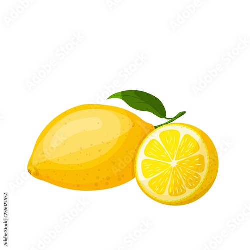 Lemon icon, cartoon