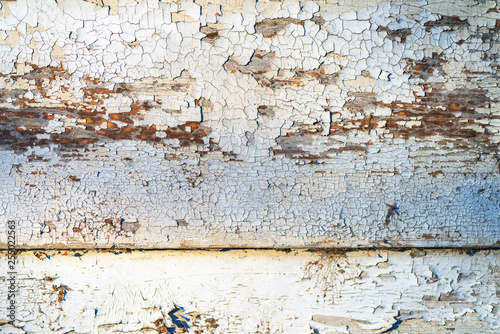 Cracked white paint peeling of the wooden surface