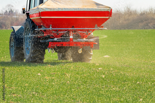 Agricultural tractor fertilizing wheat crop field with NPK photo