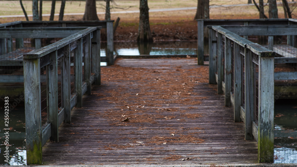 Obraz premium Wooden Pavilion Leading to Water