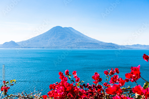 Volcanoes & pink flowers, Lake Atitlan, Guatemala