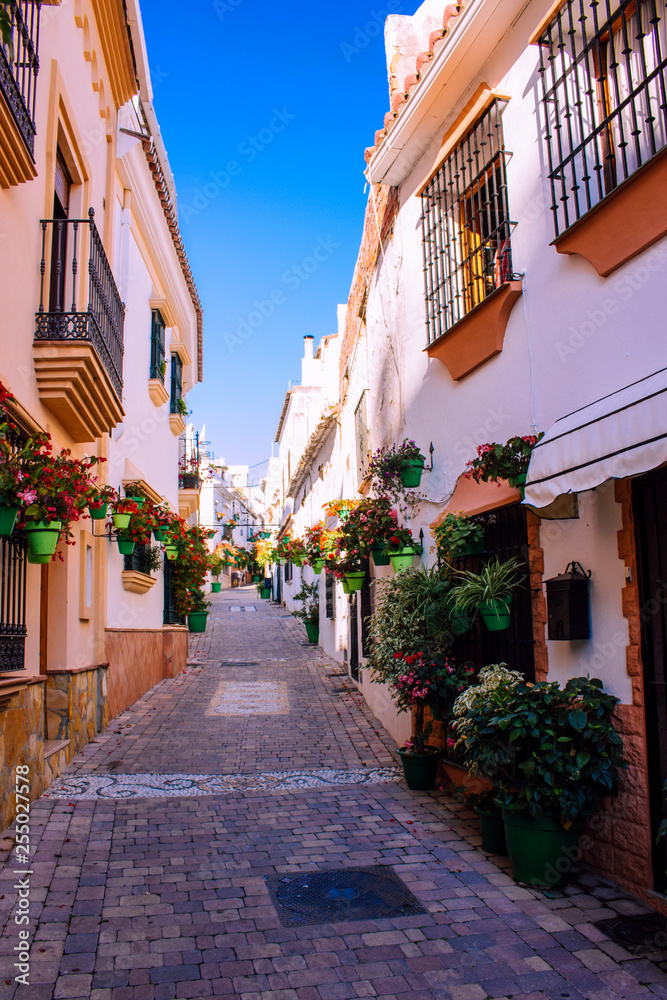 Street. The picturesque street of the city of Estepona. Costa del Sol, Andalusia, Spain. Picture taken – 12 March 2019.