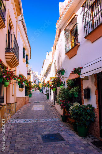 Street. The picturesque street of the city of Estepona. Costa del Sol, Andalusia, Spain. Picture taken – 12 March 2019. © Ekaterina