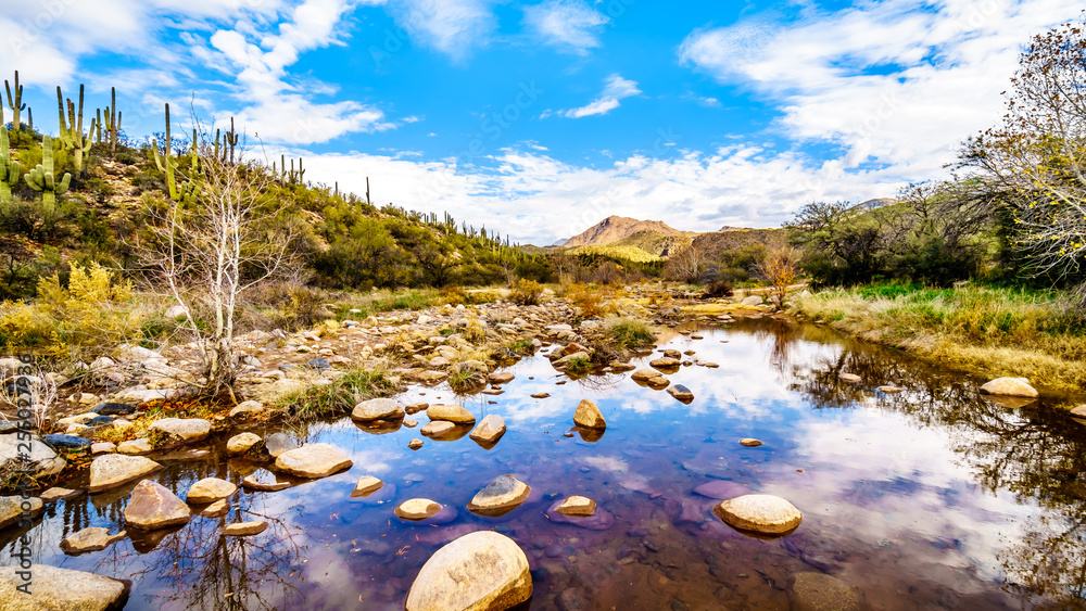 Φωτογραφία The almost dry Sycamore Creek in the McDowell Mountain Range in Northern Arizona