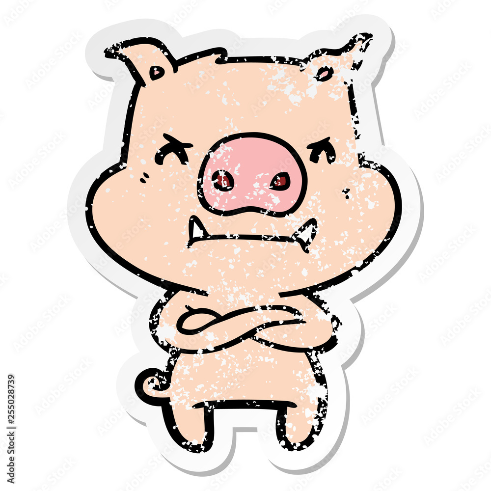 distressed sticker of a angry cartoon pig distressed sticker of a angry cartoon pig
