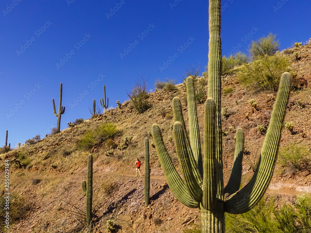 Φωτογραφία Beautiful, Fit, Young Woman Is Trail Running In The Arizona, Sonoran Desert