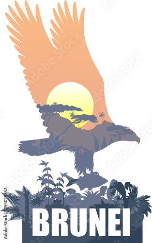 vector Brunei with white bellied sea eagle