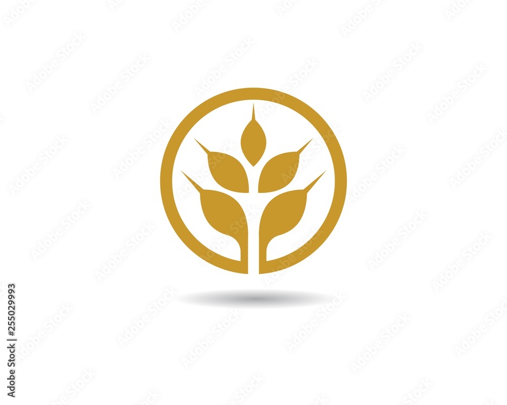 Wheat vector icon illustration Wheat vector icon illustration