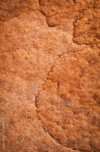 texture of baked cake surface