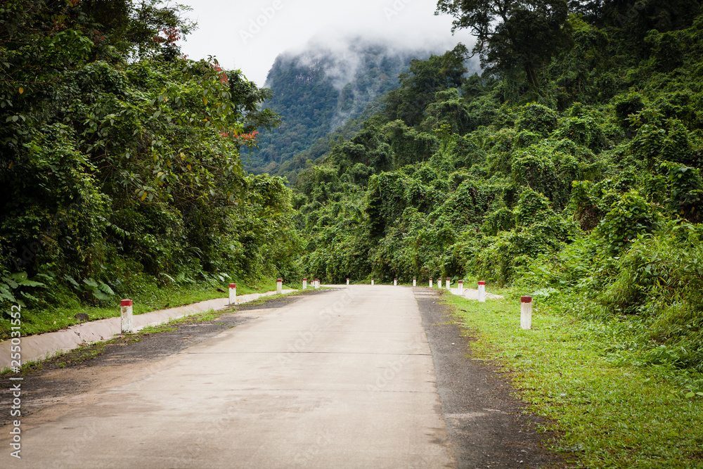 Road through the jungle, Ke-Bang National Park, Phong Nha, Vietnam