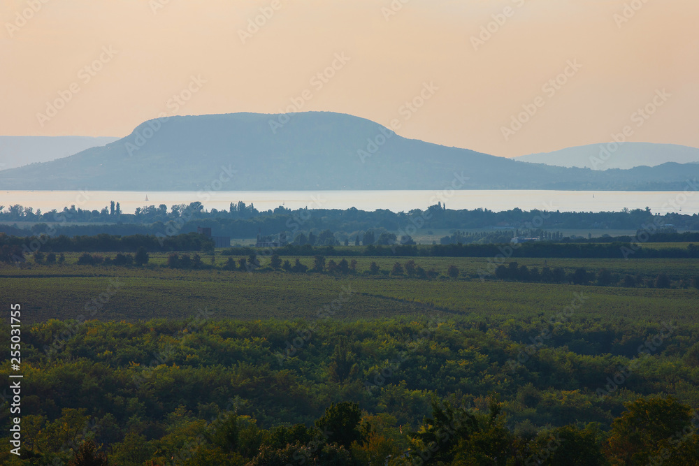 Vineyards and the Badacsony mountain with Lake Balaton after sunset in Hungary
