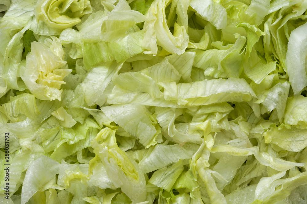 ulienned lettuce food background