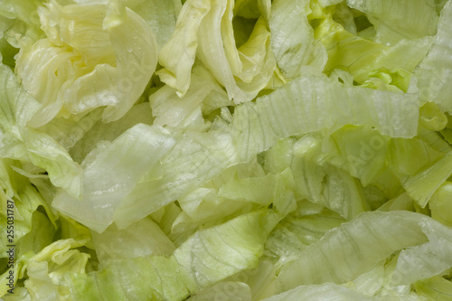 ulienned lettuce food background