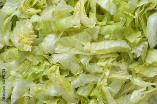 Obraz na płótnie ulienned lettuce food background w salonie
