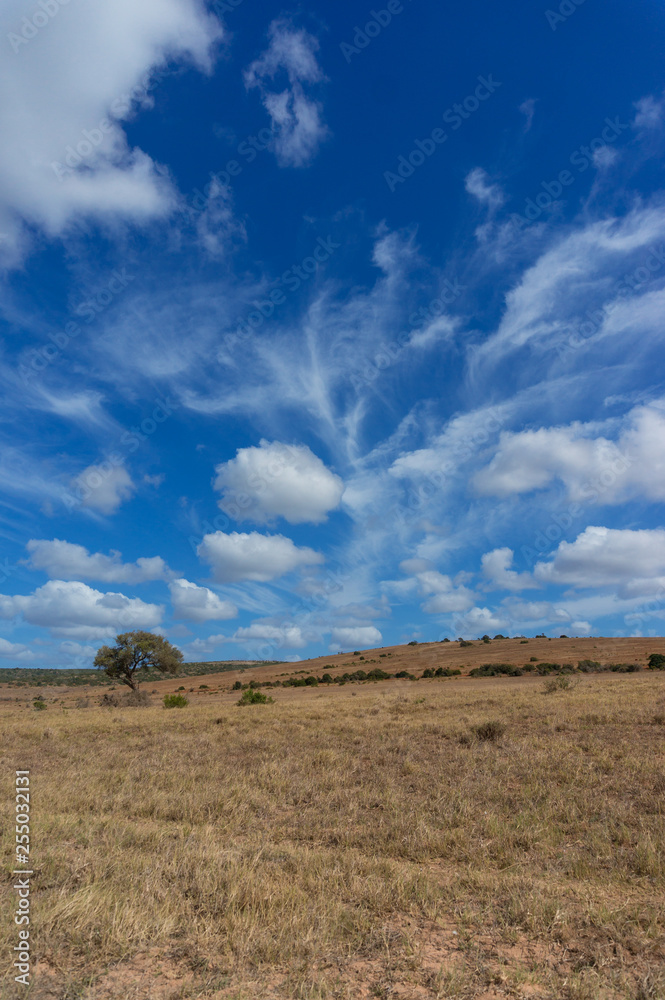 Spectacular African savannah landscape with epic sky